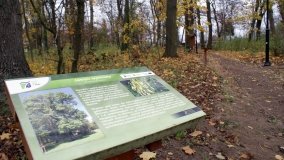 W starym parku nowy duch - zdjęcie 13