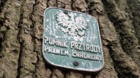 W starym parku nowy duch - zdjęcie 14