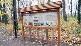 W starym parku nowy duch - zdjęcie 15