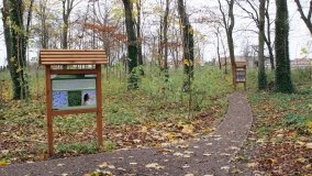 W starym parku nowy duch - zdjęcie 17