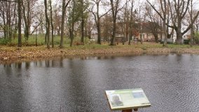 W starym parku nowy duch - zdjęcie 19