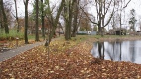 W starym parku nowy duch - zdjęcie 21