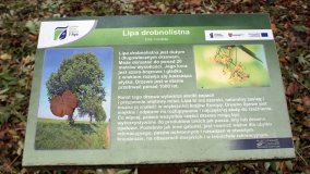 W starym parku nowy duch - zdjęcie 22