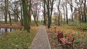 W starym parku nowy duch - zdjęcie 24