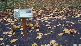 W starym parku nowy duch - zdjęcie 25