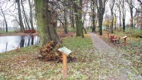 W starym parku nowy duch - zdjęcie 26