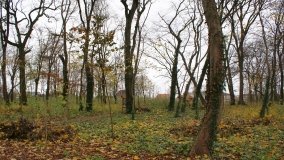 W starym parku nowy duch - zdjęcie 27