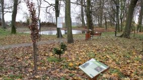 W starym parku nowy duch - zdjęcie 28