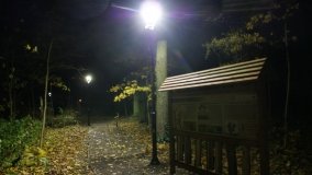 W starym parku nowy duch - zdjęcie 29