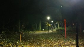 W starym parku nowy duch - zdjęcie 30