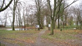 W starym parku nowy duch - zdjęcie 32