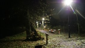 W starym parku nowy duch - zdjęcie 33