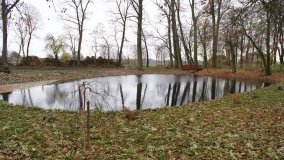 W starym parku nowy duch - zdjęcie 34