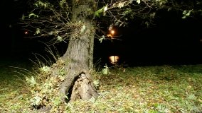 W starym parku nowy duch - zdjęcie 36