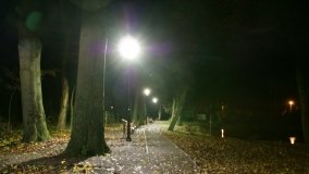 W starym parku nowy duch - zdjęcie 38