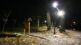 W starym parku nowy duch - zdjęcie 39