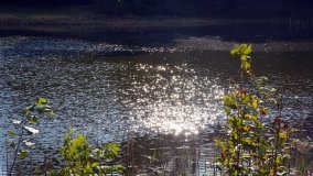 Tajemniczy park w Czerniejewie - zdjęcie 3