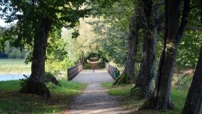 Tajemniczy park w Czerniejewie - zdjęcie 4