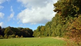 Tajemniczy park w Czerniejewie - zdjęcie 5