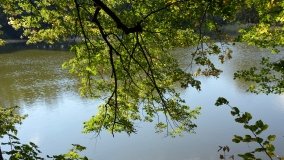 Tajemniczy park w Czerniejewie - zdjęcie 9