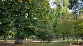 Tajemniczy park w Czerniejewie - zdjęcie 10