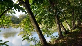 Tajemniczy park w Czerniejewie - zdjęcie 12