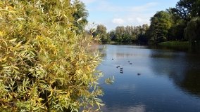 Tajemniczy park w Czerniejewie - zdjęcie 14