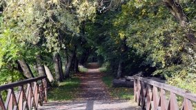 Tajemniczy park w Czerniejewie - zdjęcie 15