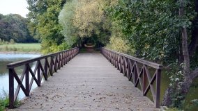 Tajemniczy park w Czerniejewie - zdjęcie 17