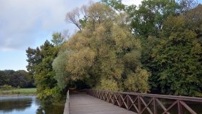 Tajemniczy park w Czerniejewie - zdjęcie 18