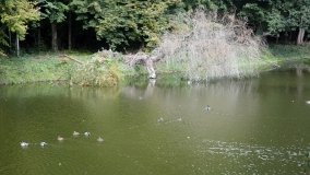 Tajemniczy park w Czerniejewie - zdjęcie 21