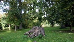 Tajemniczy park w Czerniejewie - zdjęcie 24