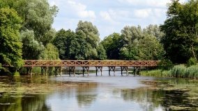 Tajemniczy park w Czerniejewie - zdjęcie 27