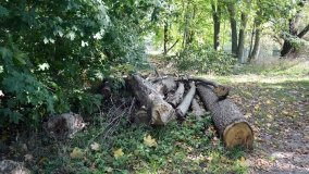 Tajemniczy park w Czerniejewie - zdjęcie 28