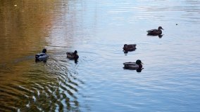 Tajemniczy park w Czerniejewie - zdjęcie 29