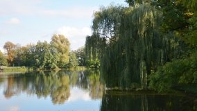 Tajemniczy park w Czerniejewie - zdjęcie 30