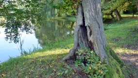 Tajemniczy park w Czerniejewie - zdjęcie 31