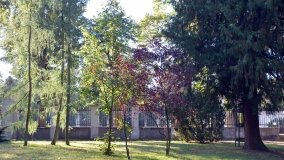 Tajemniczy park w Czerniejewie - zdjęcie 33