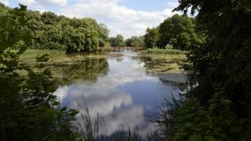 Tajemniczy park w Czerniejewie - zdjęcie 34