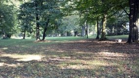 Tajemniczy park w Czerniejewie - zdjęcie 35