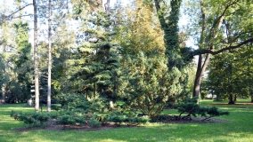 Tajemniczy park w Czerniejewie - zdjęcie 37