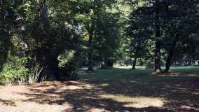 Tajemniczy park w Czerniejewie - zdjęcie 38