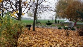 Kamienny powstańczy skwer w Pacholewie - zdjęcie 11