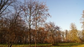 Dwór w Gocanowie z łożem, na którym sypiał cesarz Napoleon - zdjęcie 8