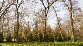 Dwór w Gocanowie z łożem, na którym sypiał cesarz Napoleon - zdjęcie 5