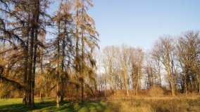 Dwór w Gocanowie z łożem, na którym sypiał cesarz Napoleon - zdjęcie 3