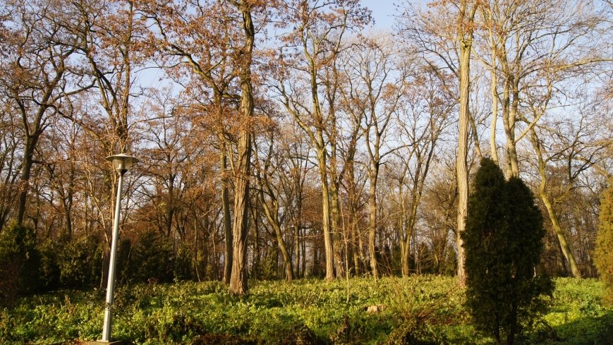 Dwór w Gocanowie z łożem, na którym sypiał cesarz Napoleon - zdjęcie 1