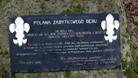 Legendarna polana, legendarny dąb w Kobylnicy - zdjęcie 6