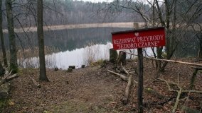 Bobrowa stołówka, czyli Rezerwat Jeziora Czarnego - zdjęcie 35