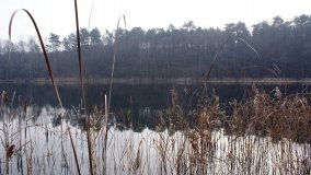 Bobrowa stołówka, czyli Rezerwat Jeziora Czarnego - zdjęcie 31